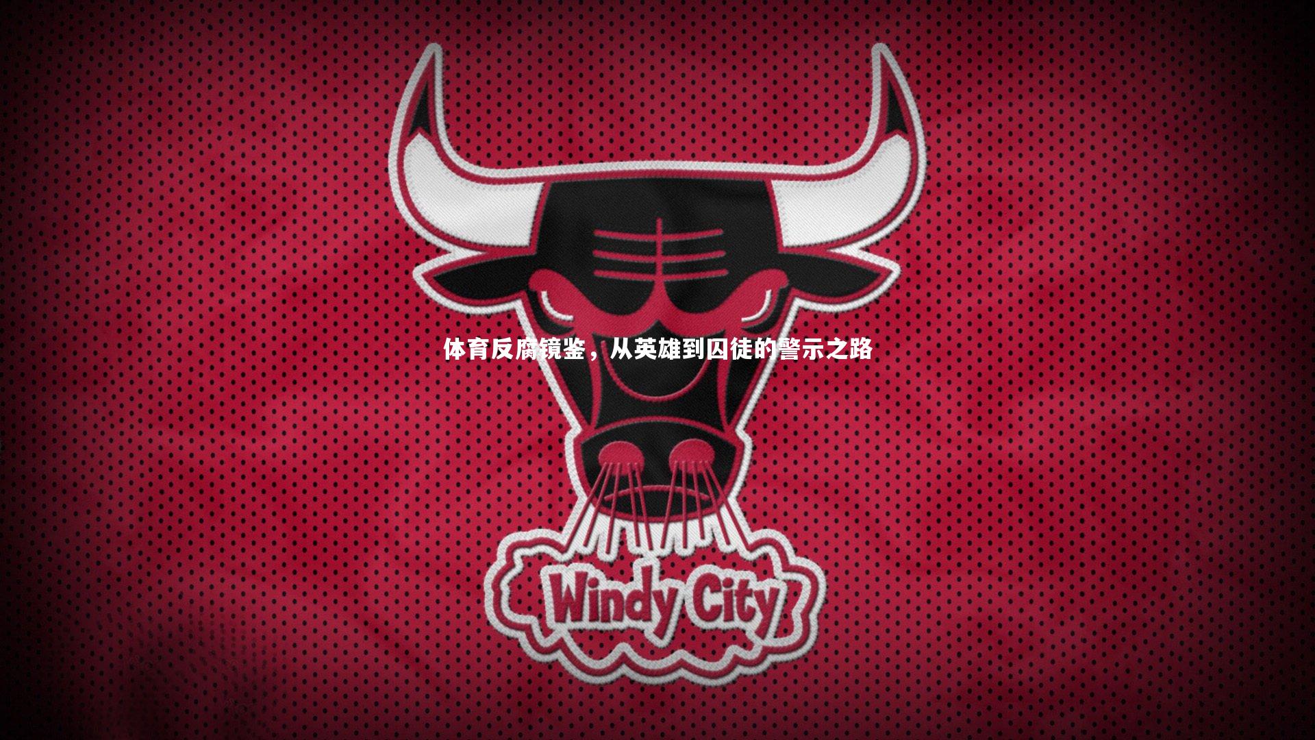 体育反腐镜鉴，从英雄到囚徒的警示之路